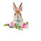 26102023113823-rabbit-png-easter-bunny-egg-clipart-pink-white-eggs-image-1.jpg