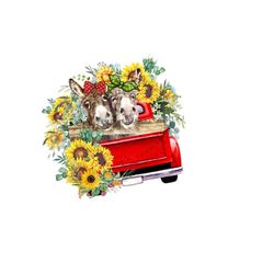 vintage red truck with donkey & sunflowers sublimation png - rustic farm animal clipart - digital download