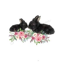black bunnies with spring flowers sublimation png - cute easter rabbit clipart - digital download