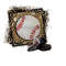 26102023114053-baseball-distressed-background-png-leopard-baseball-image-1.jpg