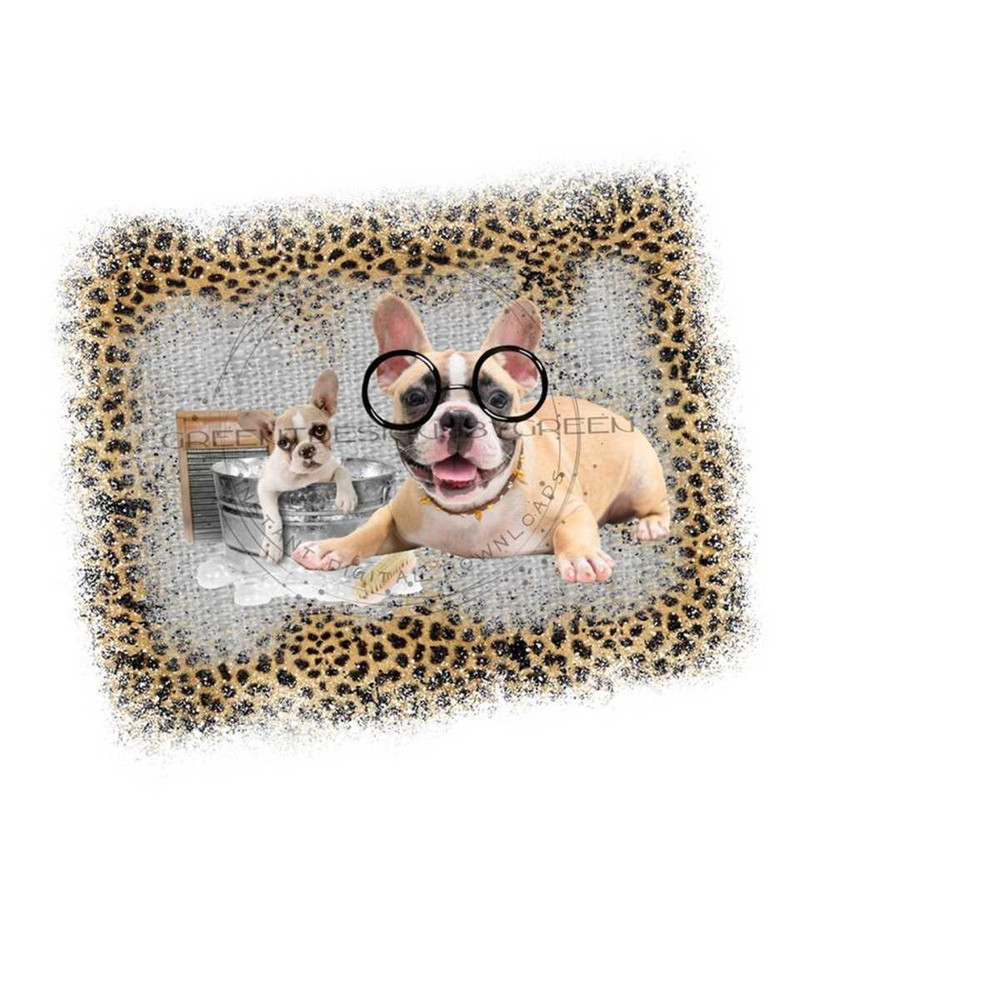 26102023114338-puppy-dog-png-dog-sublimation-wash-tub-clipart-dog-in-wash-image-1.jpg
