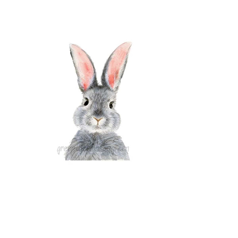 26102023114712-rabbit-png-clipart-png-easter-rabbit-png-bunny-sublimation-image-1.jpg