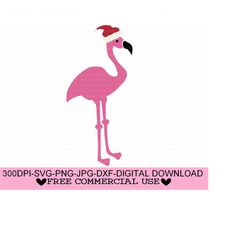 christmas flamingo svg,png jpg dxf,flamingo santa hat svg,christmas svg,flamingo tropical christmas svg silhouette,cricut,commercial use