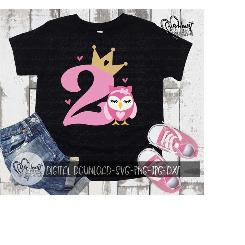 2610202312858-2nd-birthday-svg-png-jpg-dxf-cute-owl-svg-second-birthday-image-1.jpg