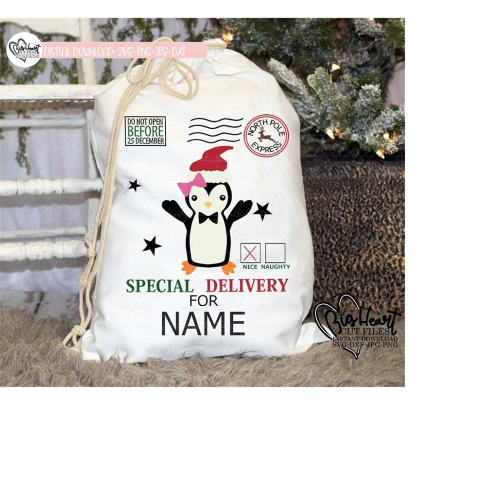 26102023121517-penguin-santa-sack-svgsanta-penguin-santa-bag-image-1.jpg