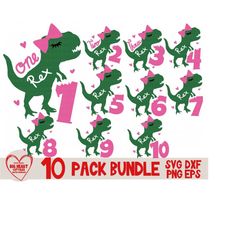 dinosaur svg bundle, birthday svg bundle, birthday rex svg, dinosaur svg, dino svg, birthday, dinosaur number svg, silhouette, cricut