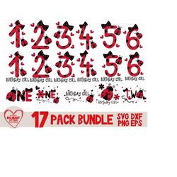 birthday girl ladybug svg bundle, svg, png, dxf, eps, ladybug birthday numbers svg, birthday girl svg, ladybug svg, silhouette, cricut