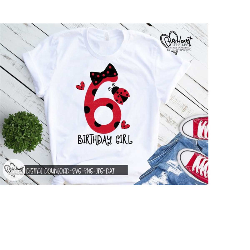 26102023133916-ladybug-6th-birthday-girl-svg-png-jpg-dxf-sixth-birthday-image-1.jpg