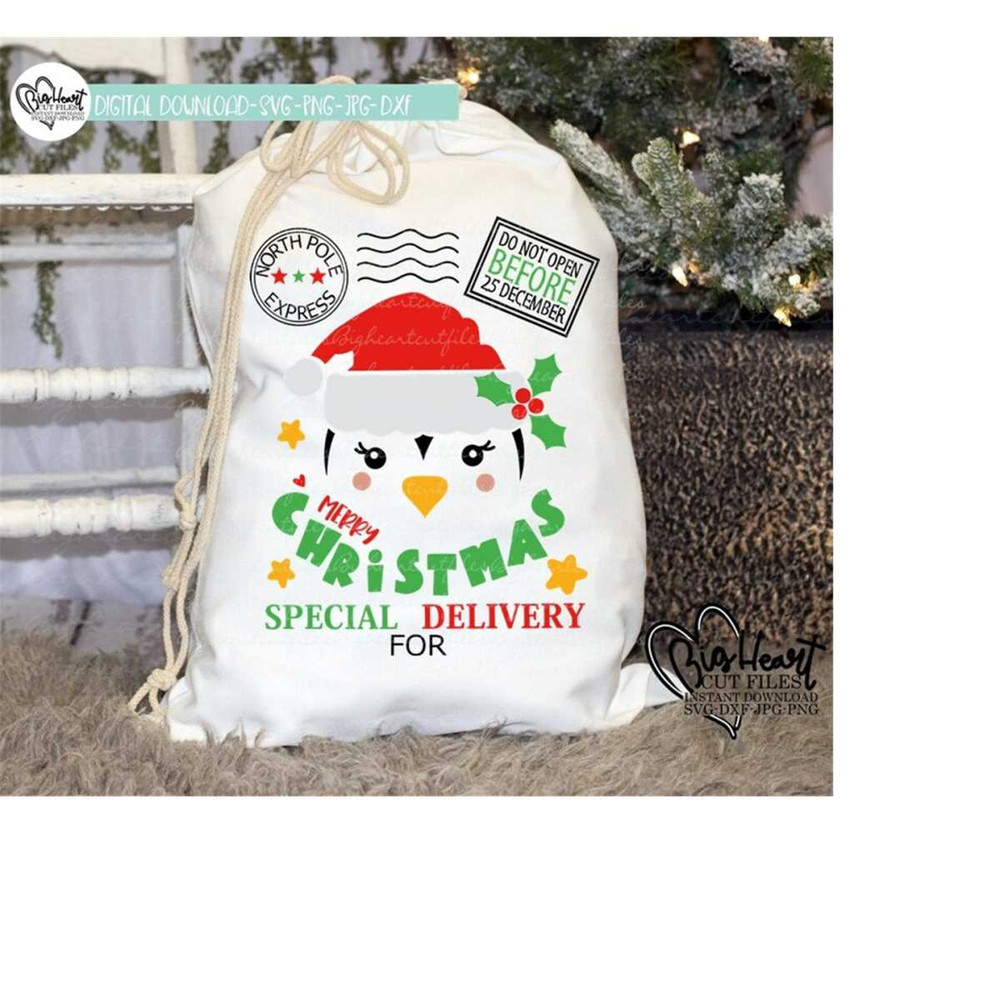 2610202314119-christmas-penguin-santa-sack-svg-png-jpg-dxf-design-santa-image-1.jpg