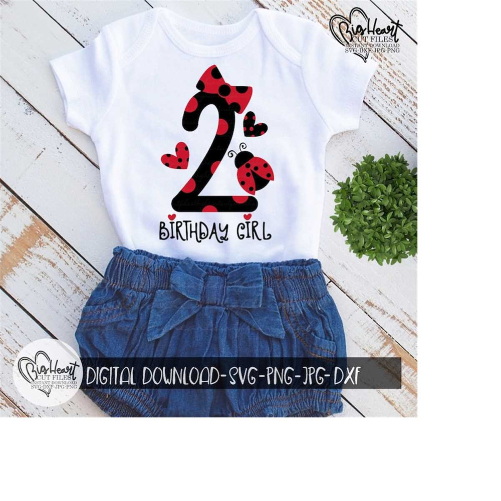 261020231437-ladybug-2nd-birthday-girl-svg-png-jpg-dxf-second-birthday-image-1.jpg