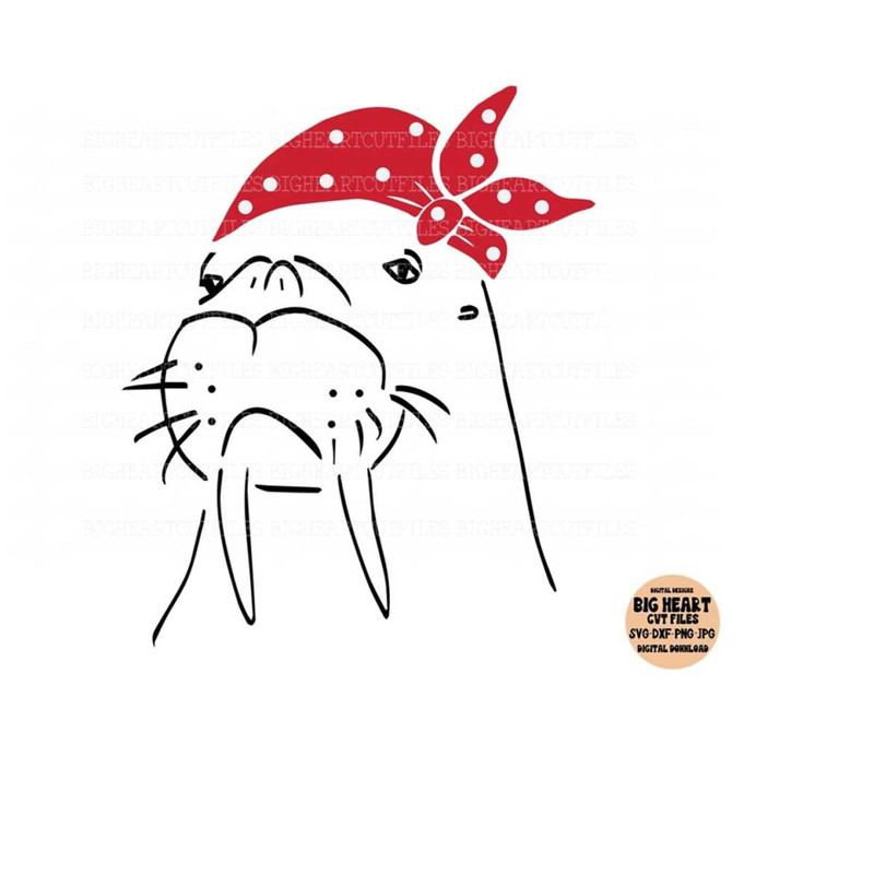 2610202314316-walrus-svg-png-jpg-dxf-walrus-svg-walrus-cut-file-walrus-image-1.jpg