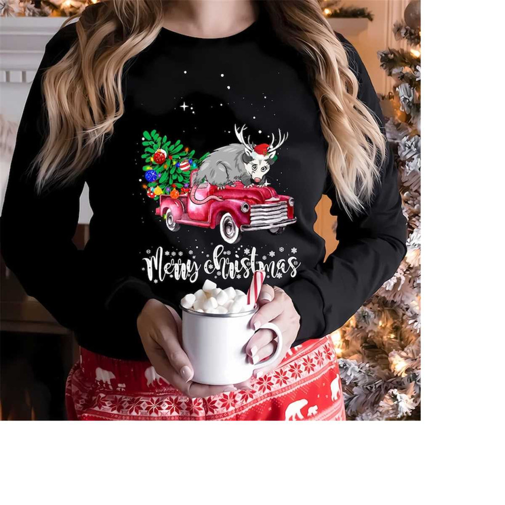 MR-2610202314498-possum-sweatshirt-christmas-possum-sweatshirt-possum-print-image-1.jpg