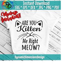 are you kitten me right meow svg| cat lover svg design | cat mom svg | cute cat car decal design | cricut cut design