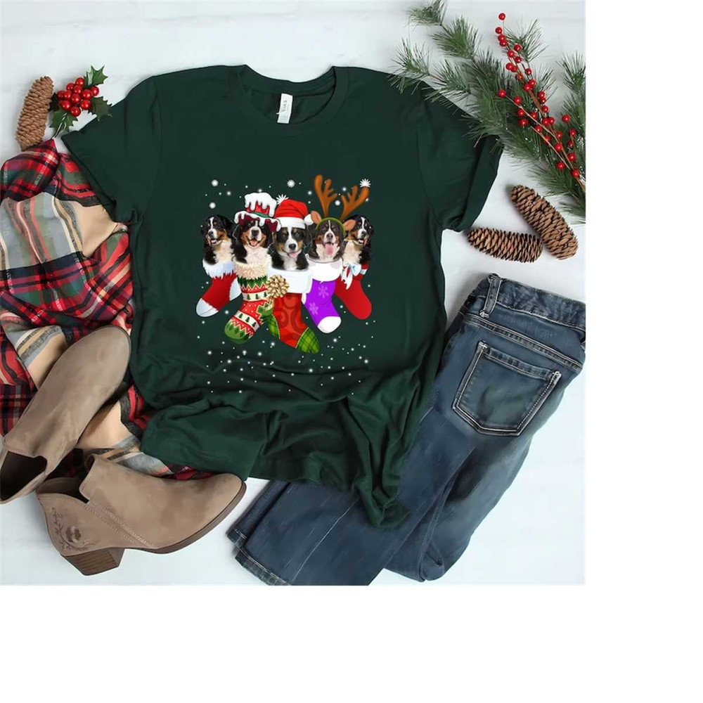MR-26102023153854-bernese-mountain-in-sock-christmas-santa-hat-t-shirt-image-1.jpg