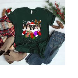 bernese mountain in sock christmas santa hat t shirt, christmas bernese mountain dog sweatshirt, bernese mountain dog sw