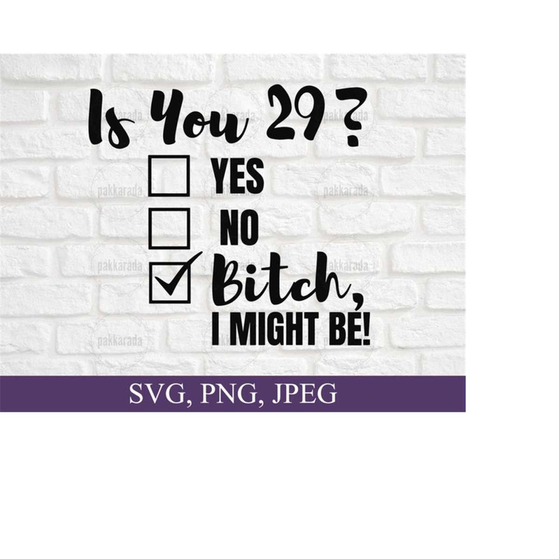 2610202317315-funny-29th-birthday-svg-is-you-29-bitch-i-might-be-svg-image-1.jpg