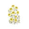 MR-2610202322575-sunflower-embroidery-design-4-sizes-instant-download-image-1.jpg