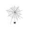 MR-2610202323138-spider-web-embroidery-design-halloween-embroidery-file-5-image-1.jpg