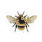 MR-2710202353442-floral-bumblebee-machine-embroidery-design-3-sizes-instant-image-1.jpg