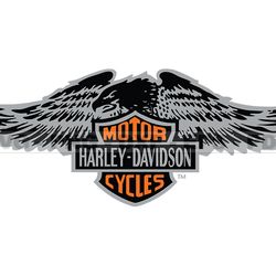 motorcycle svg bundle logo, skull motorcycle png, harley davidson svg, motorcycle tshirt design bundle 80