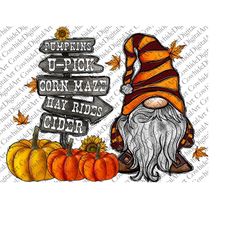 pumpkin u pick corn maze hayrides cider png, pumpkin png, western png, sublimation designs downloads,digital download, fall png, gnome png