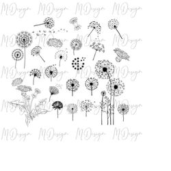 dandelion svg bundle cut file for cricut, silhouette cameo - great for summer diy projects, vinyl cutting, sublimation p