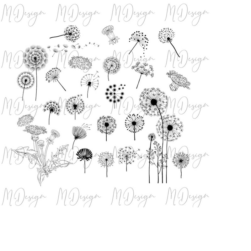 MR-2710202314229-dandelion-svg-bundle-cut-file-for-cricut-silhouette-cameo-image-1.jpg