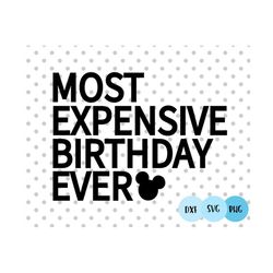 Expensive birthday svg, Spoiled svg, Broke svg, Best birthday ever svg, birthday trip svg, Family trip shirts svg, best day ever svg