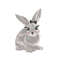 MR-27102023172042-cute-bunny-with-a-bow-embroidery-design-easter-embroidery-image-1.jpg