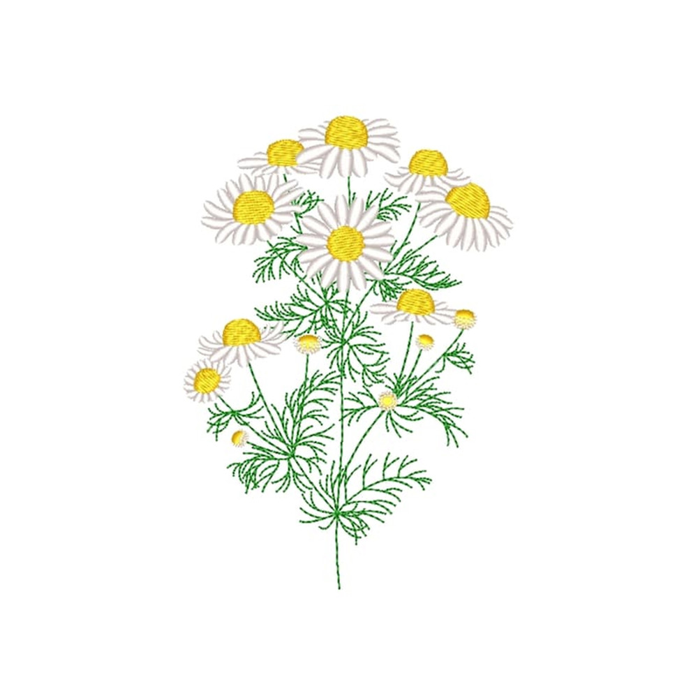 MR-27102023175448-daisy-embroidery-design-flower-machine-embroidery-design-3-image-1.jpg