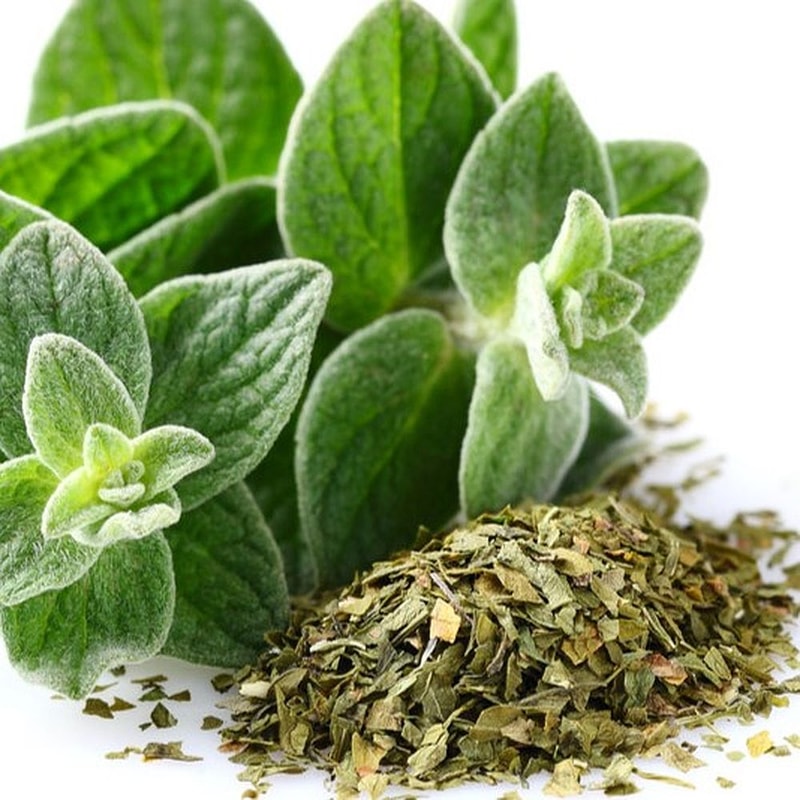 oregano.jpg