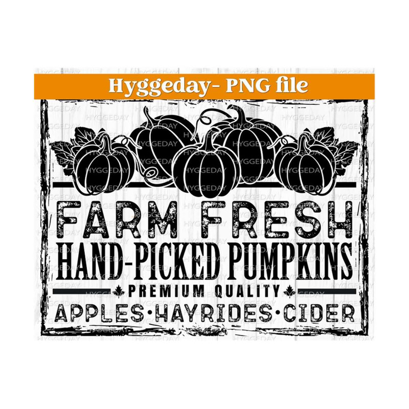 281020230276-farm-fresh-pumpkins-png-digital-download-sublimation-png-image-1.jpg