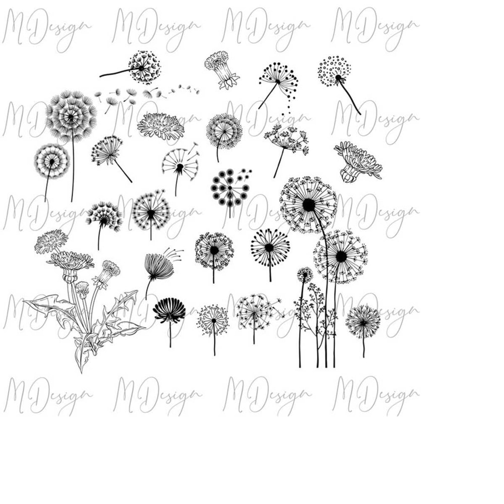 MR-2810202394519-dandelion-svg-bundle-cut-file-for-cricut-silhouette-cameo-image-1.jpg