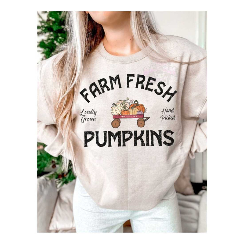 MR-28102023113627-farm-fresh-pumpkins-png-fall-pumpkins-sublimation-pumpkin-image-1.jpg