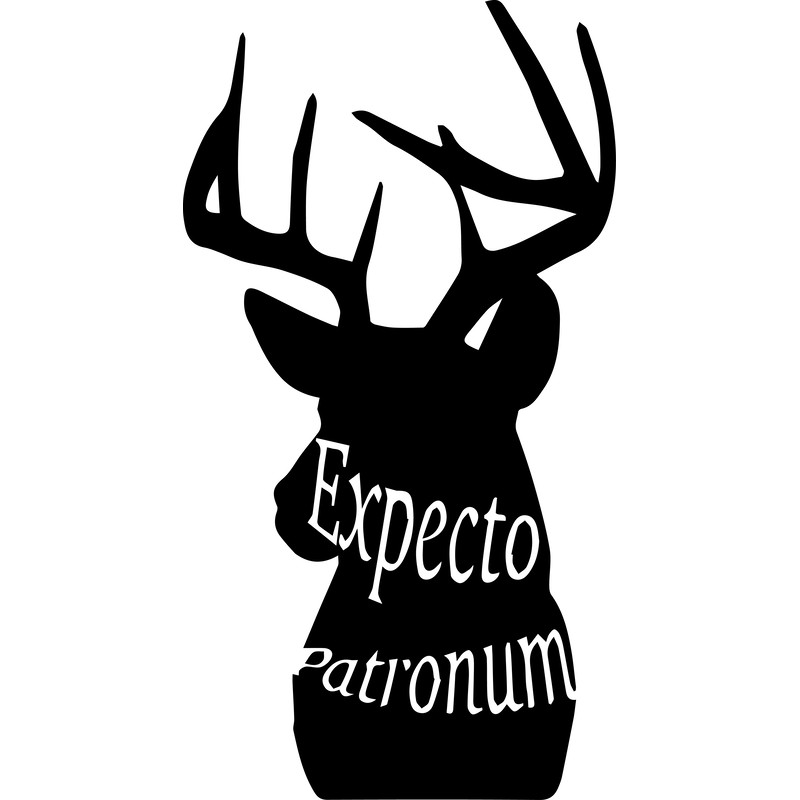 12.Expecto patronum.png
