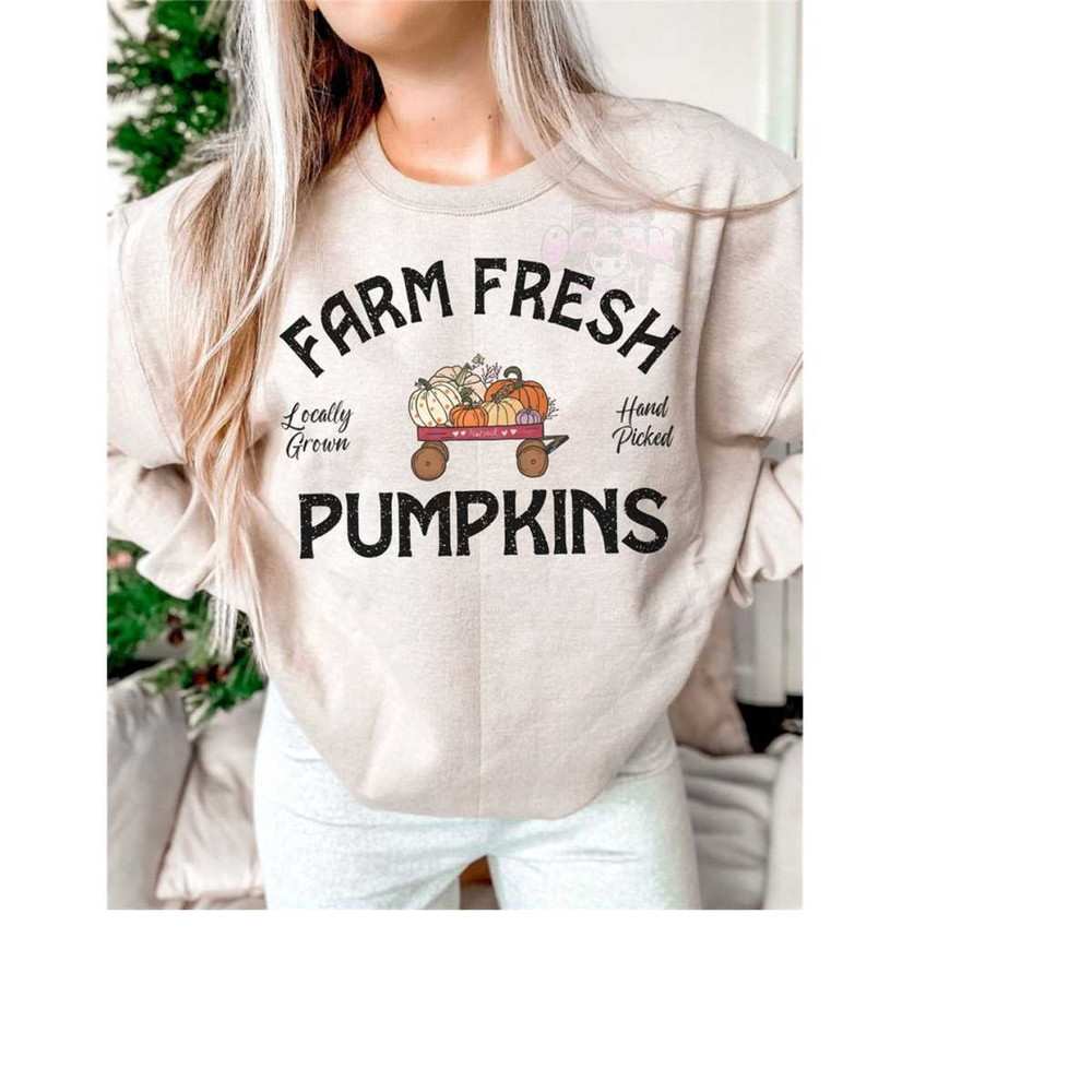 MR-28102023142128-farm-fresh-pumpkins-png-fall-pumpkins-sublimation-pumpkin-image-1.jpg