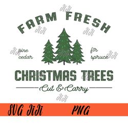 farm fresh christmas tree png, pine cedar png, fir spruce png