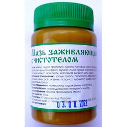 Ointment "Healing" with Celandine / Natural Original Product from the Siberian Taiga 85 Ml / 2.87 Oz