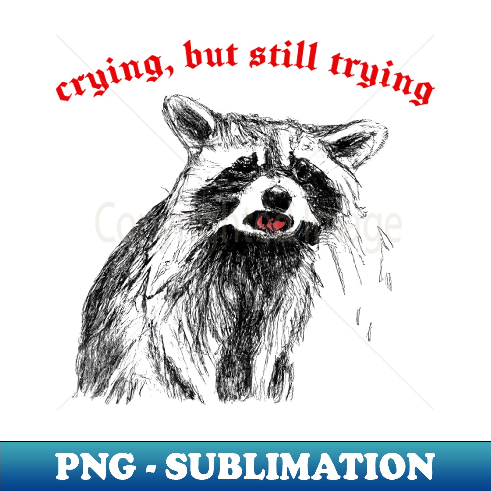 EX-20231029-1659_Crying But Still Trying  -- Raccoon Lover Design 5823.jpg