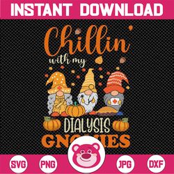 chi-ll-in with my dialysis gnomies nurse gnome thanksgiving fall png, funny chilling gnomes png, gnome pumpkin png, gnom