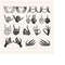 MR-3010202382542-skeleton-hands-svg-skull-skeleton-hand-halloween-svg-rack-hand-image-1.jpg
