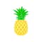 MR-30102023112329-pineapple-svg-pineapple-monogram-frames-svg-summer-svg-image-1.jpg