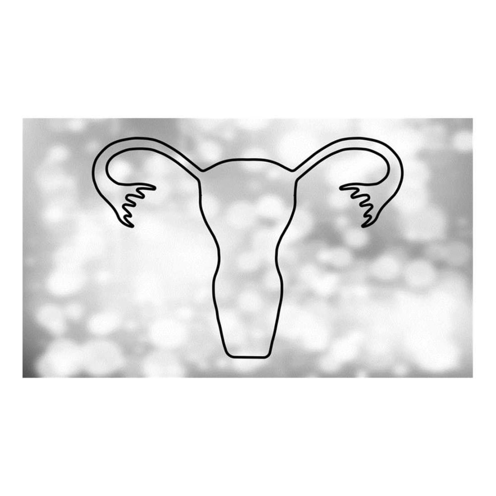 MR-30102023164847-medical-clipart-basic-black-outline-of-human-uterus-image-1.jpg