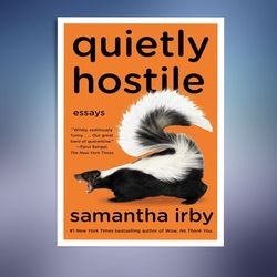 quietly hostile: essays