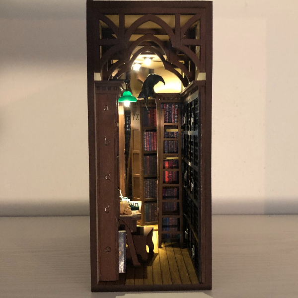 assembled-Book-nook-bookshelf-insert-gothic-library-with-raven-and-skull-Bookshelf-Diorama-Finished-booknook-Miniature-bookish-decor-6.JPG