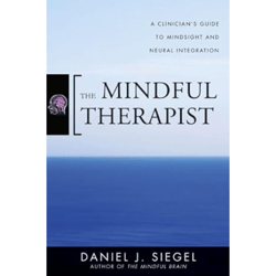the mindful therapist: a clinician's guide to mindsight and neural integration