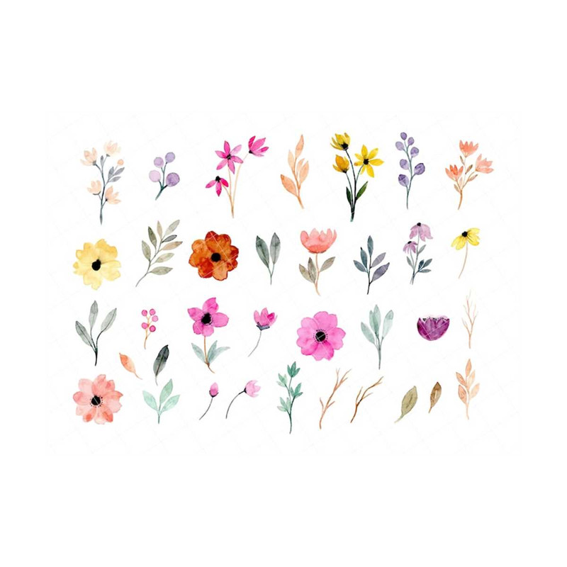 3110202381518-35-watercolor-floral-elements-collection-bundle-watercolor-image-1.jpg