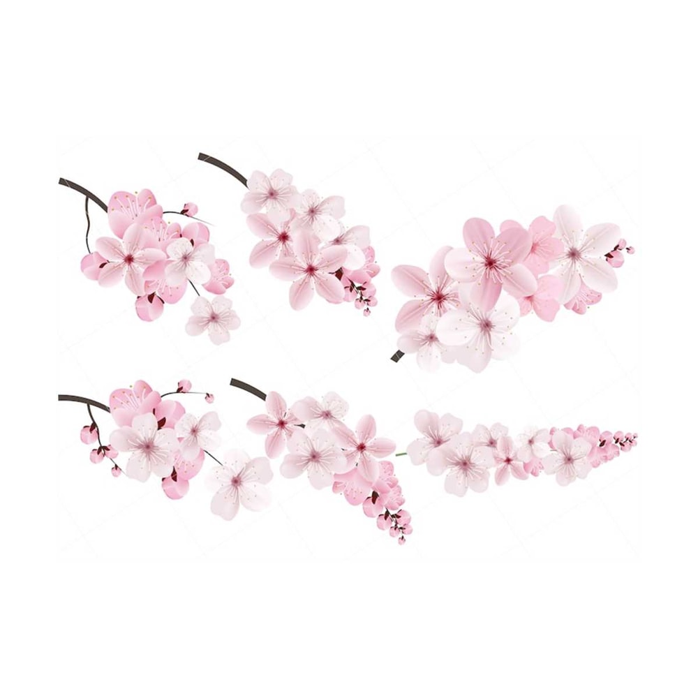 3110202391535-light-pink-sakura-flowers-clipart-set-of-sakura-clipart-pink-image-1.jpg