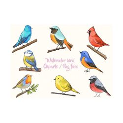 watercolor birds clipart, birds clipart, bird png,small bird download, canary - finch - blue jay - robin, commercial use, instant download