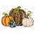 3110202394216-pumpkins-png-leopard-pumpkin-png-fall-png-thanksgiving-png-image-1.jpg